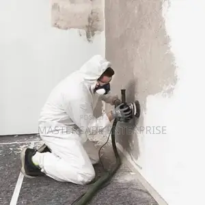 Walls and Ceiling Molds