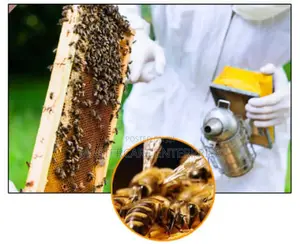 Bee Control and Transfer