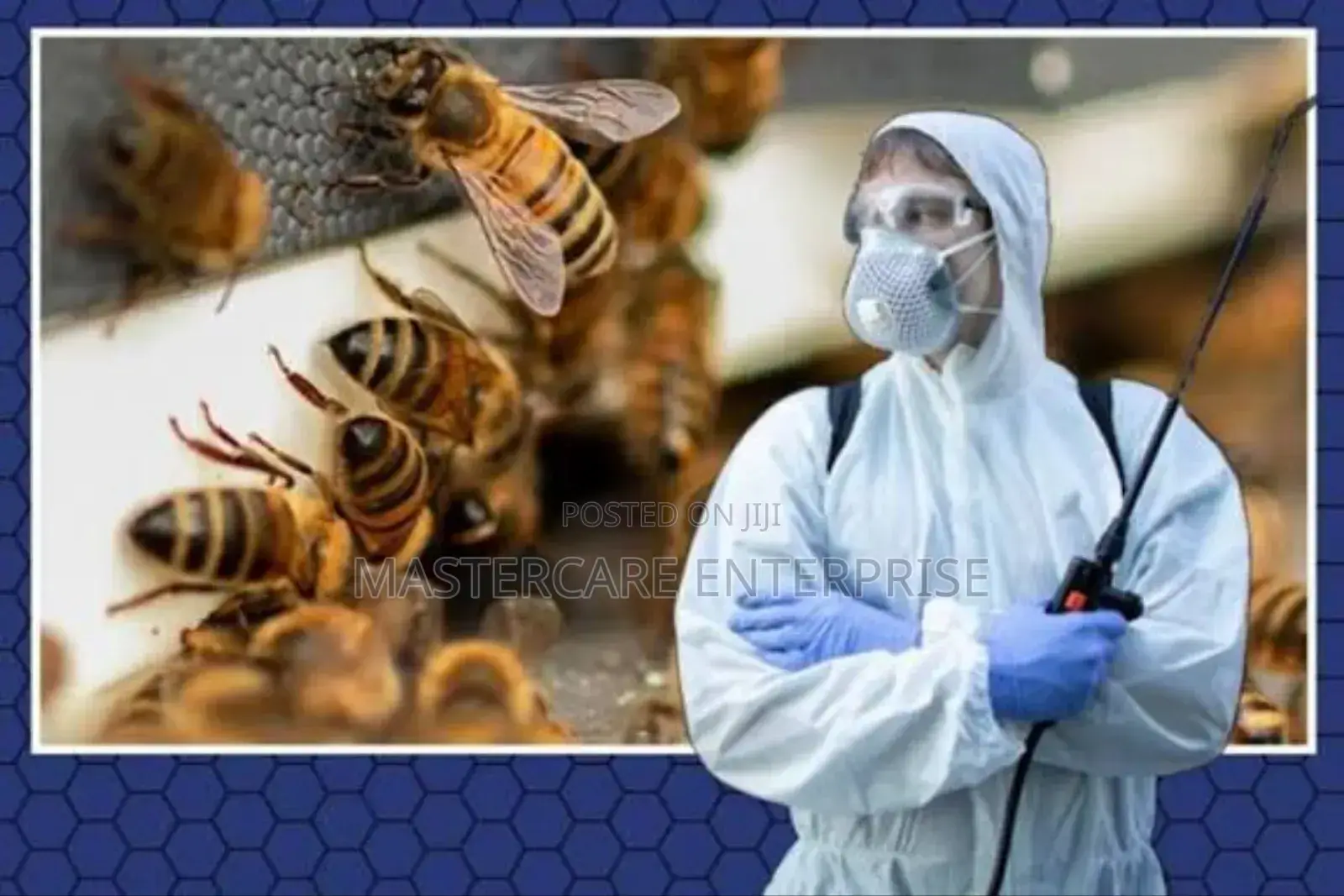 Bee Control and Extermination Services