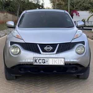 Nissan Juke 2011 Silver
