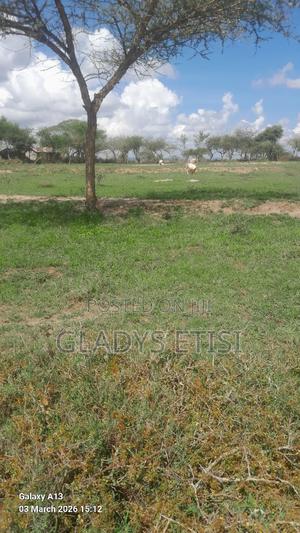 Individual Titles - thumbnail 2