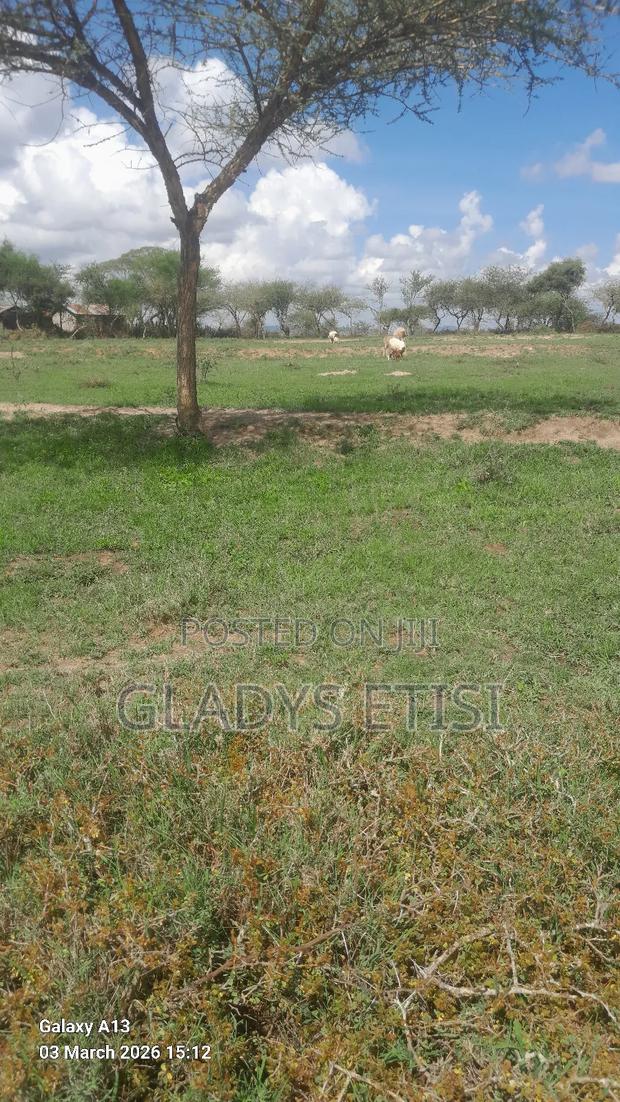 Individual Titles - main view