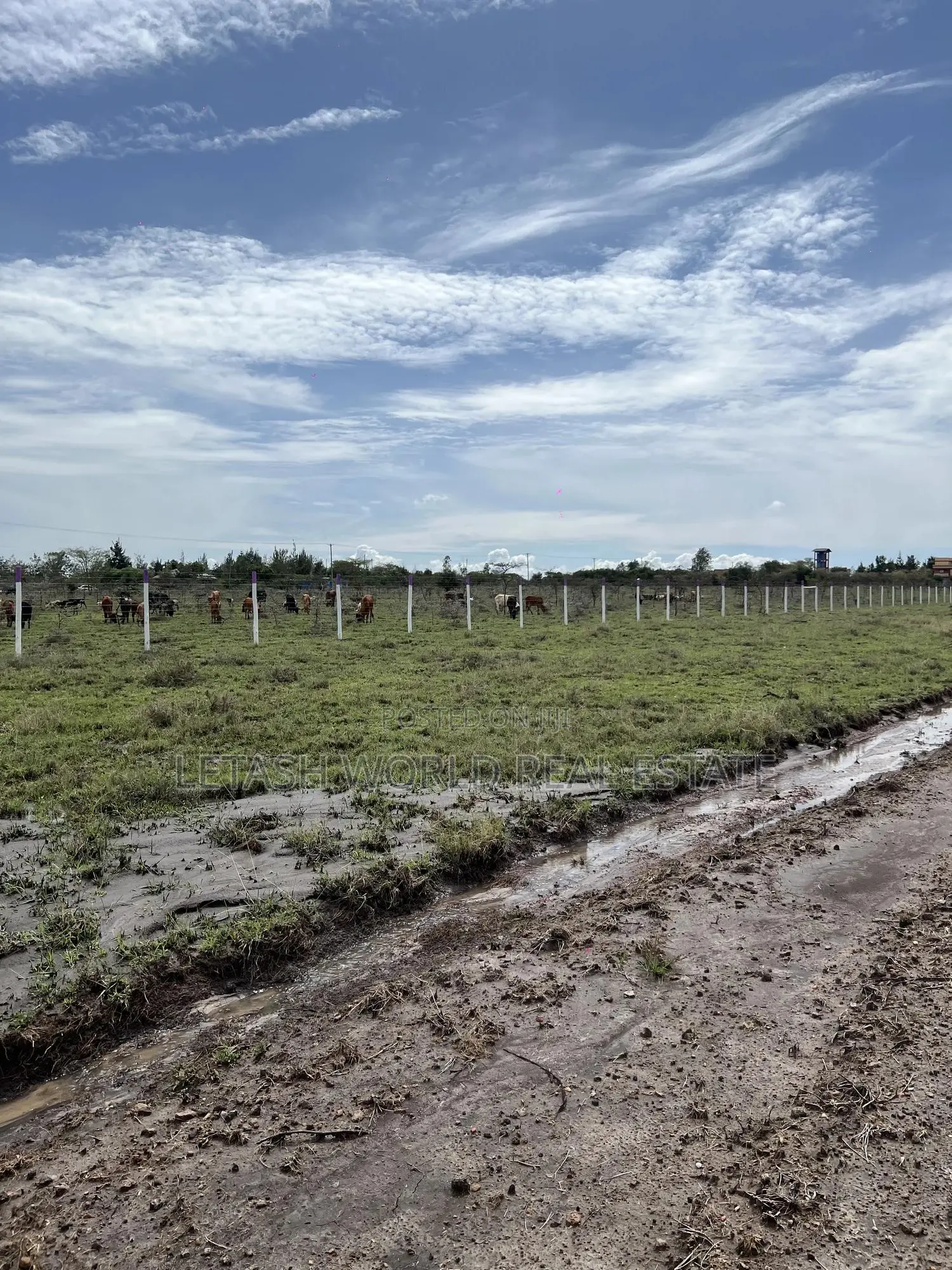 Joska , Sunset Ridge , Prime Affordable Plots