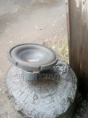 10 Inch Subwoofer Double Magnet