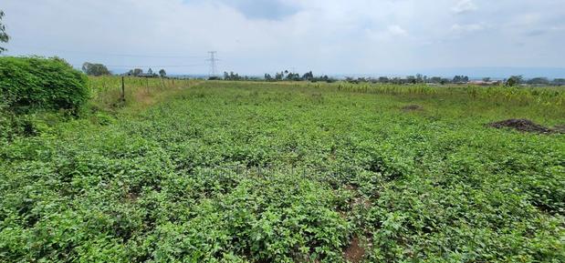 50x100 Plot for Sale in Mutaita Nakuru - main view
