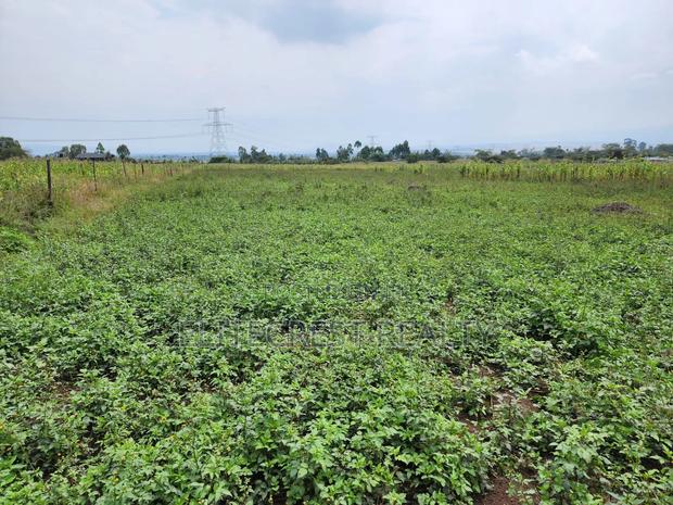 50x100 Plot for Sale in Mutaita Nakuru - thumbnail 3