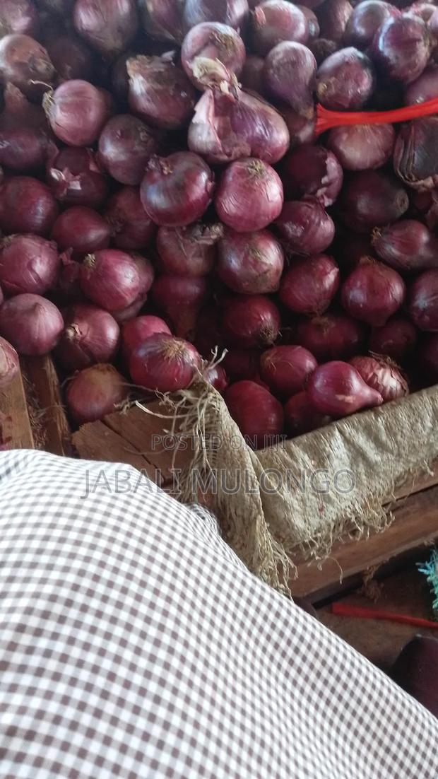 Red Buil Onions - thumbnail 2