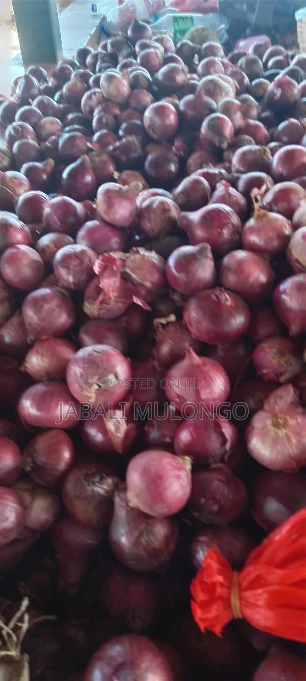 Red Buil Onions - thumbnail 3