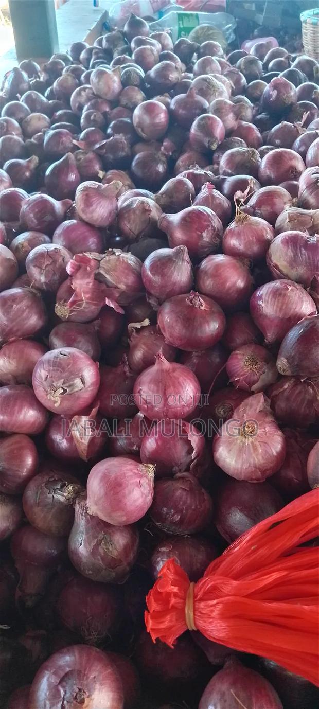 Red Buil Onions - thumbnail 4
