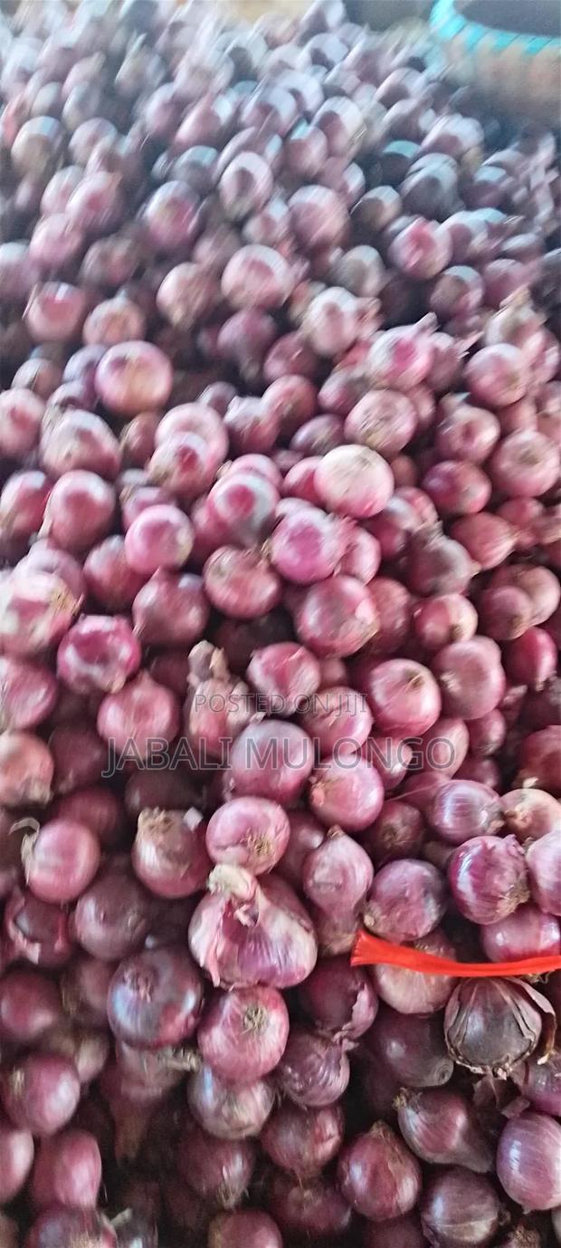 Red Buil Onions - thumbnail 5