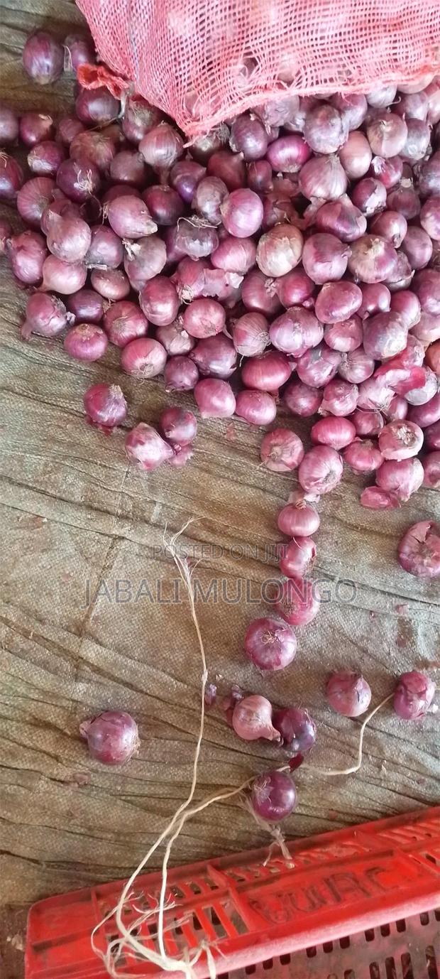 Red Buil Onions - thumbnail 6