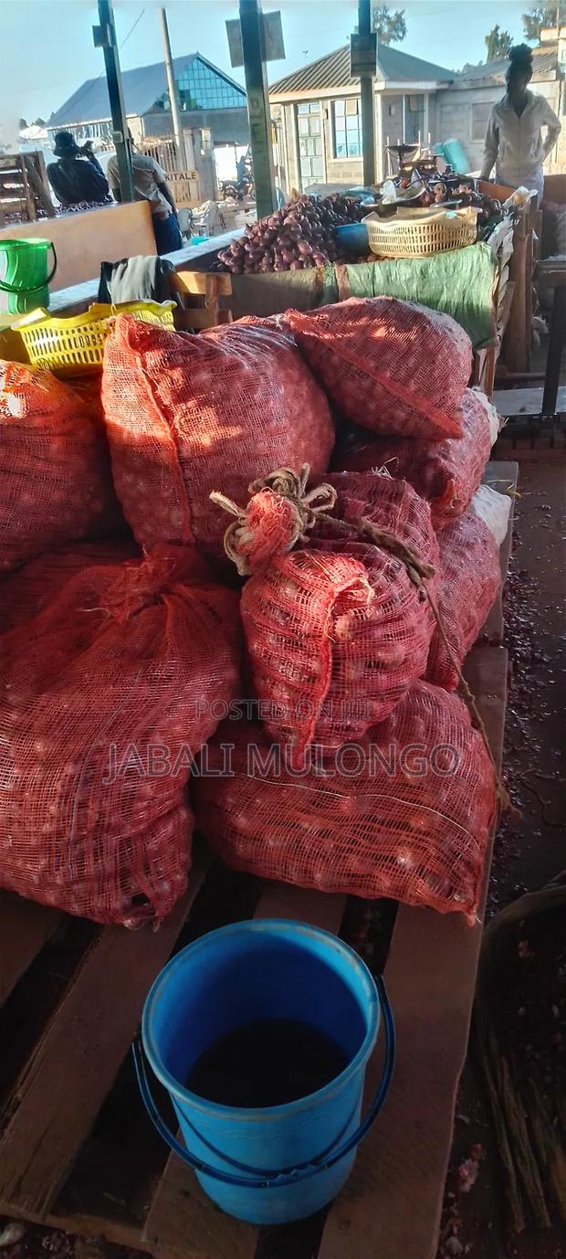 Red Buil Onions - thumbnail 7