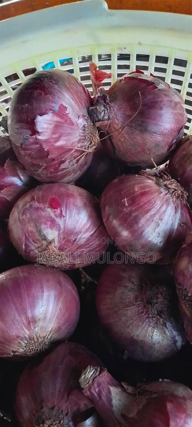 Red Buil Onions - thumbnail 10