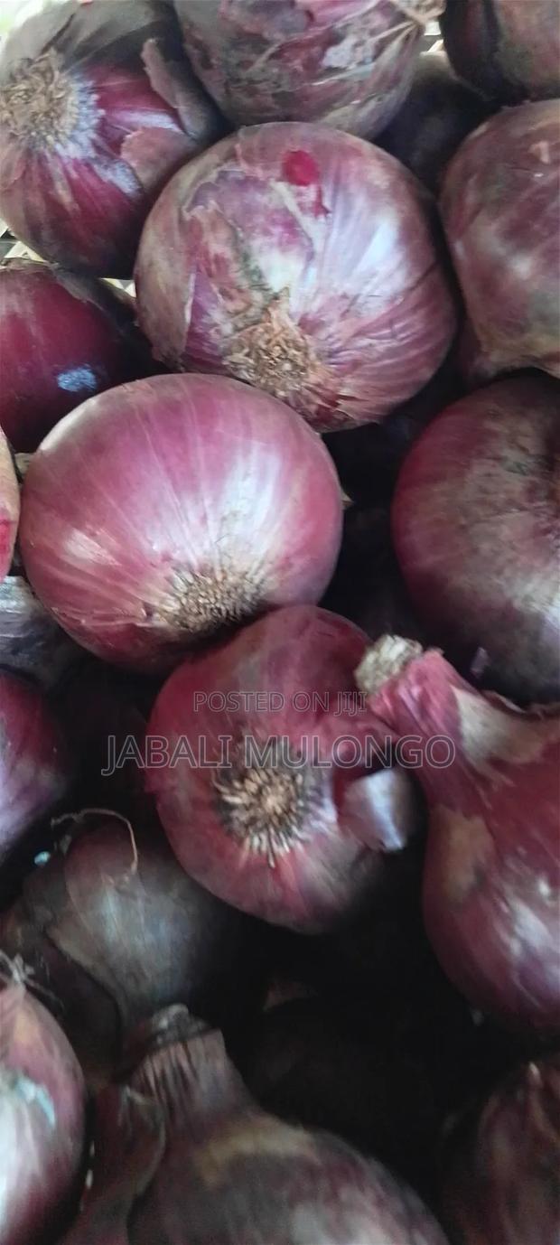 Red Buil Onions - thumbnail 11