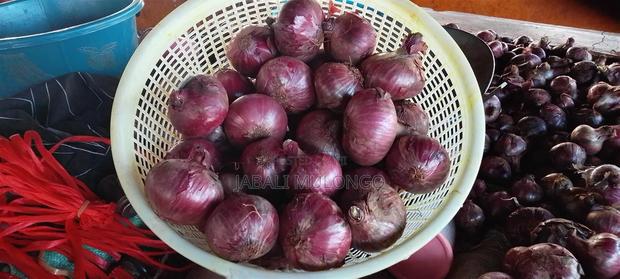 Red Buil Onions - thumbnail 12