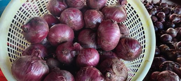 Red Buil Onions - thumbnail 14