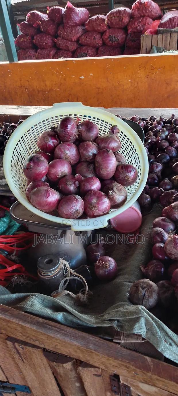 Red Buil Onions - thumbnail 15