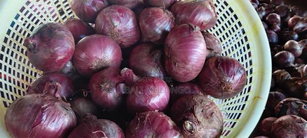 Red Buil Onions - thumbnail 16
