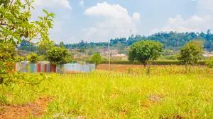 Prime Residential Plot for Sale in Kikuyu, Lusigetti
