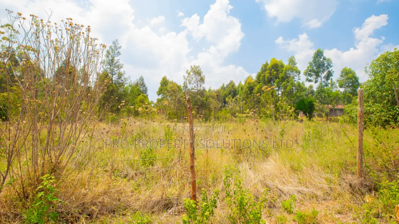 Prime Residential Plot for Sale in Kikuyu, Lusigetti