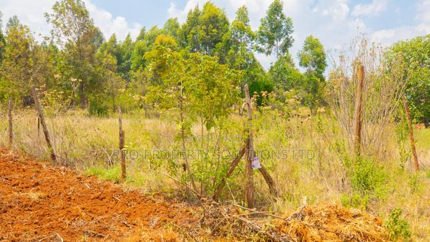 Prime Residential Plot for Sale in Kikuyu, Lusigetti - thumbnail 7