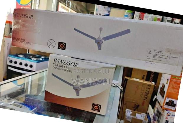 Ceiling Fan Size 56 Inches Brand New