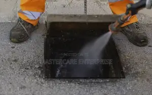 Cockroaches Elimination Services