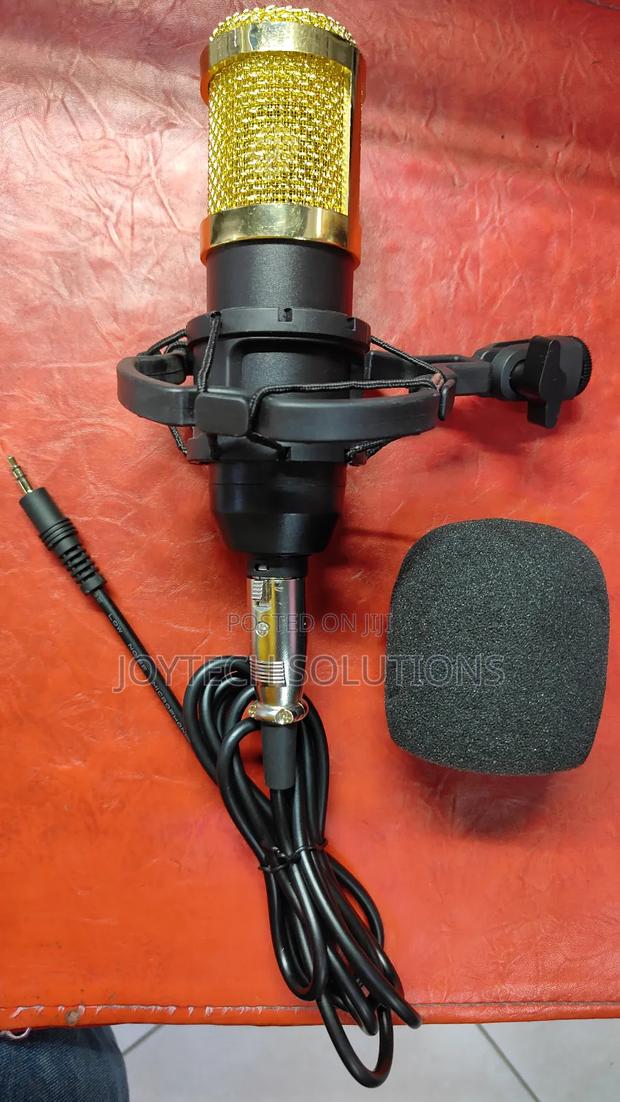 Hot Selling Condenser Microphone - main view