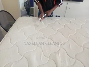 Mattress Cleaning Services