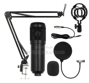 Hot Selling Condenser Microphone