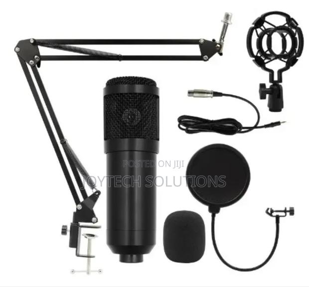 Hot Selling Condenser Microphone - thumbnail 4