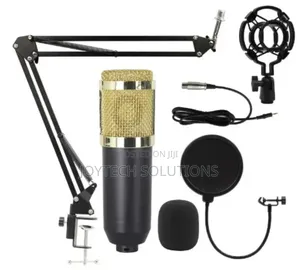 Hot Selling Condenser Microphone