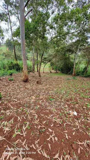 Half An Acre In Gachie Redhill Road