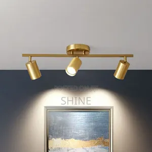 Modern Gold Track Light/ Spot Light