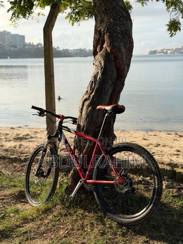 Mountain Bike - main view