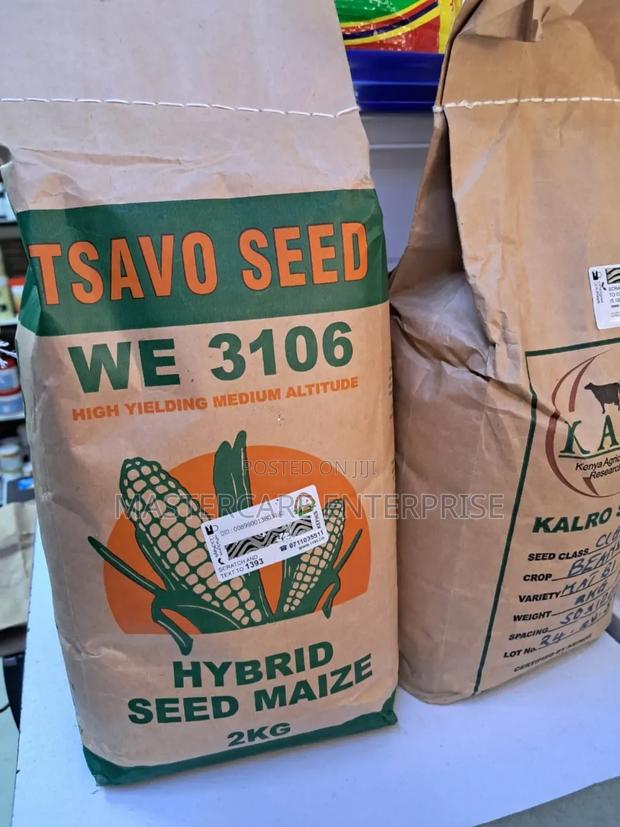 Tsavo Seed 2 Kg We 3106 Seedlings