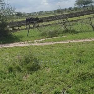 Konza Plot 50*100 for Sale - thumbnail 2