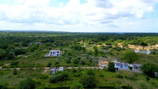 Diani Mwambungo - thumbnail 3