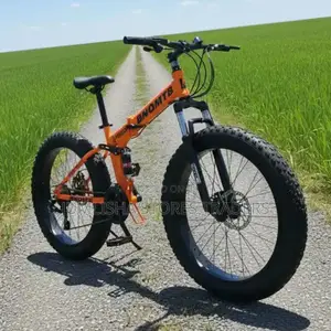 Foldable Fat Bike With Dual Suspension