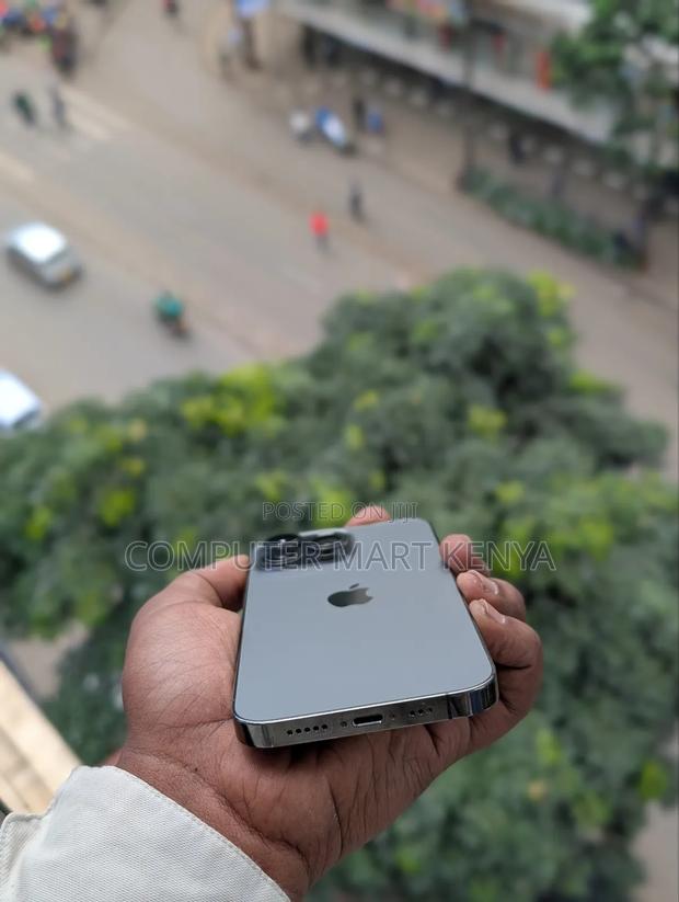 Apple iPhone 13 Pro Max 128 GB Gray - thumbnail 4