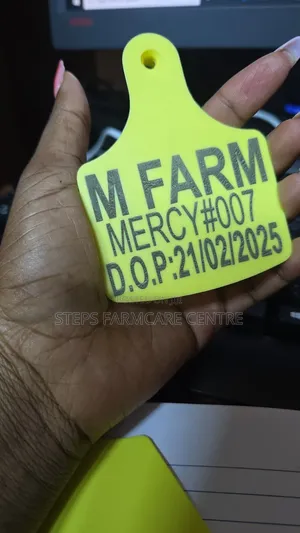 Cattle -Large Branded Ear Tags