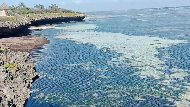 Beach Plot - main view