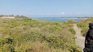 Beach Plot