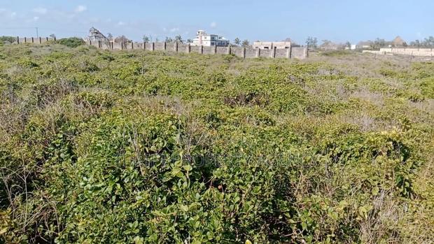 Beach Plot - thumbnail 4