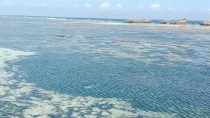 Beach Plot