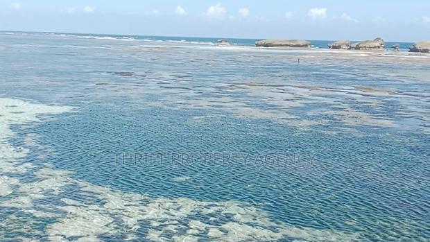 Beach Plot - thumbnail 5