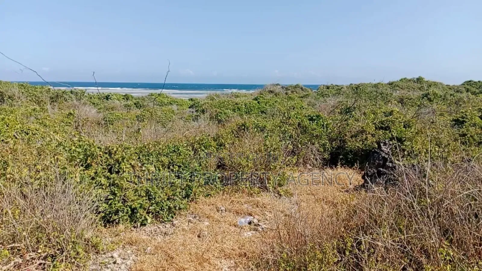 Beach Plot