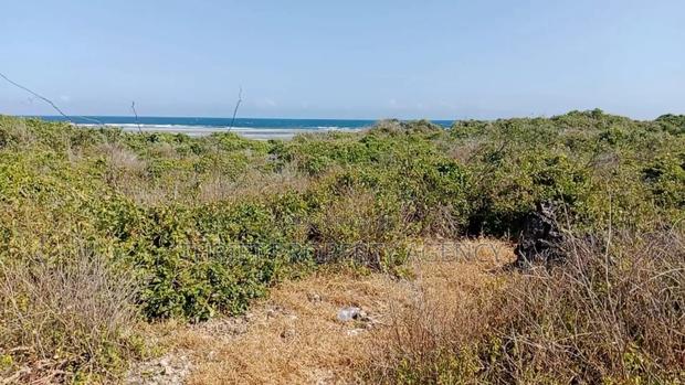 Beach Plot - thumbnail 6