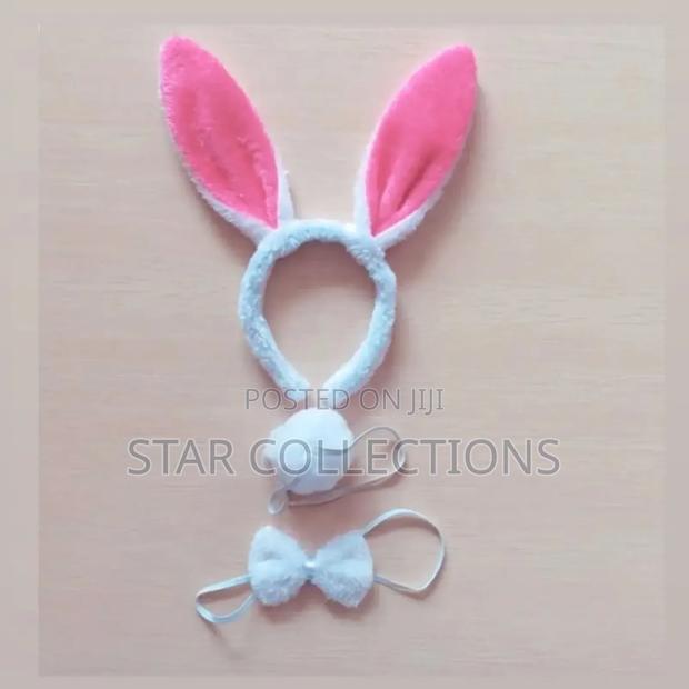 3 in 1 Bunny Set - main view