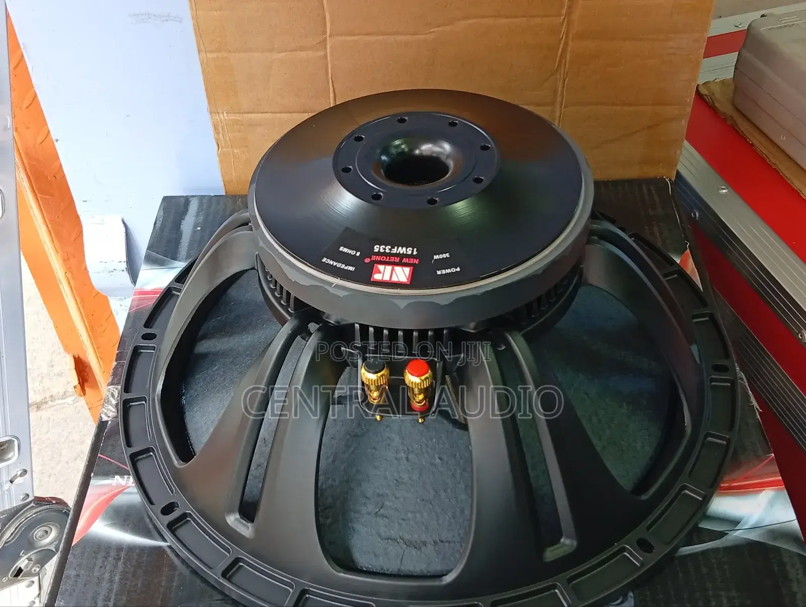 Nr 15inch Naked Speaker